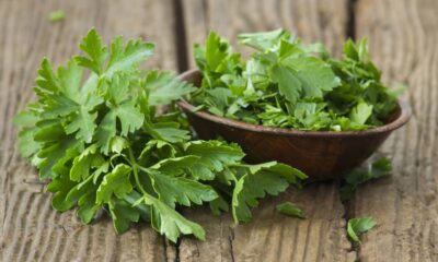 O cheiro verde que se mantém fresco por vários dias com um cuidado fácil de fazer em casa