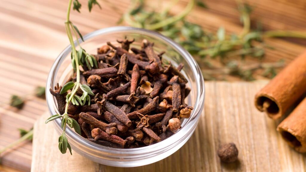 Mastigar cravo-da-índia é o segredo milenar que traz 11 benefícios para sua saúde