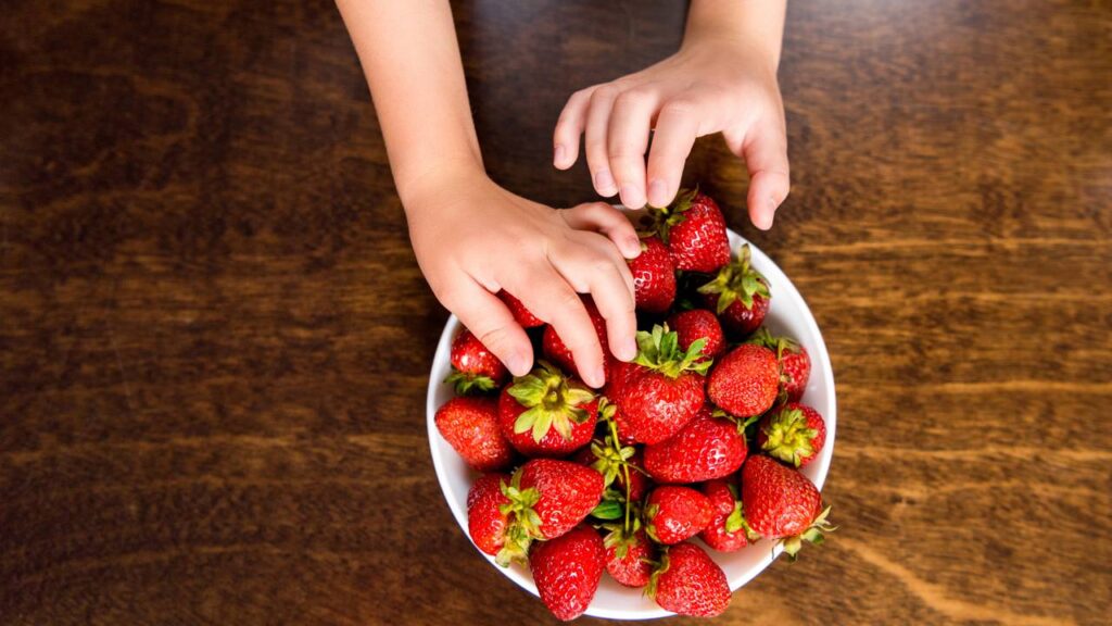 A relação entre o tipo de solo e o sabor das frutas