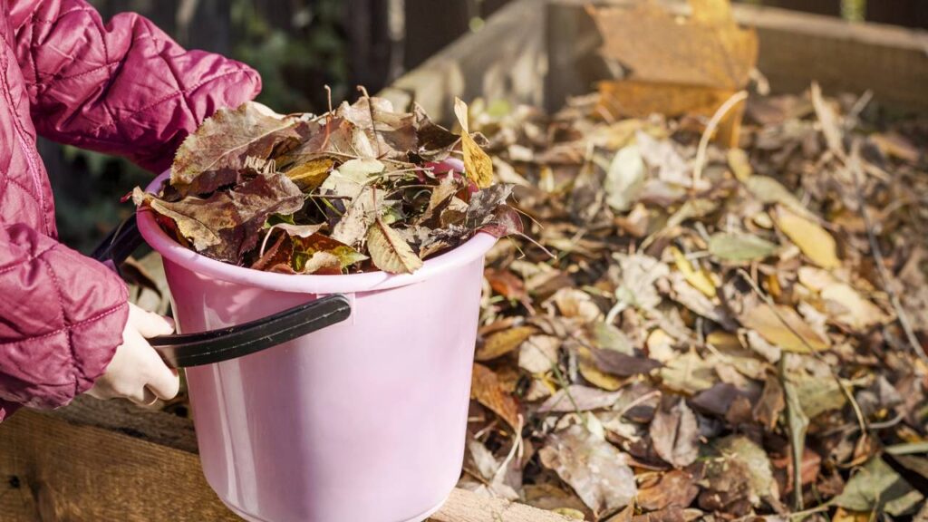 Técnica ancestral japonesa usa folhas secas para transformar seu jardim em ouro