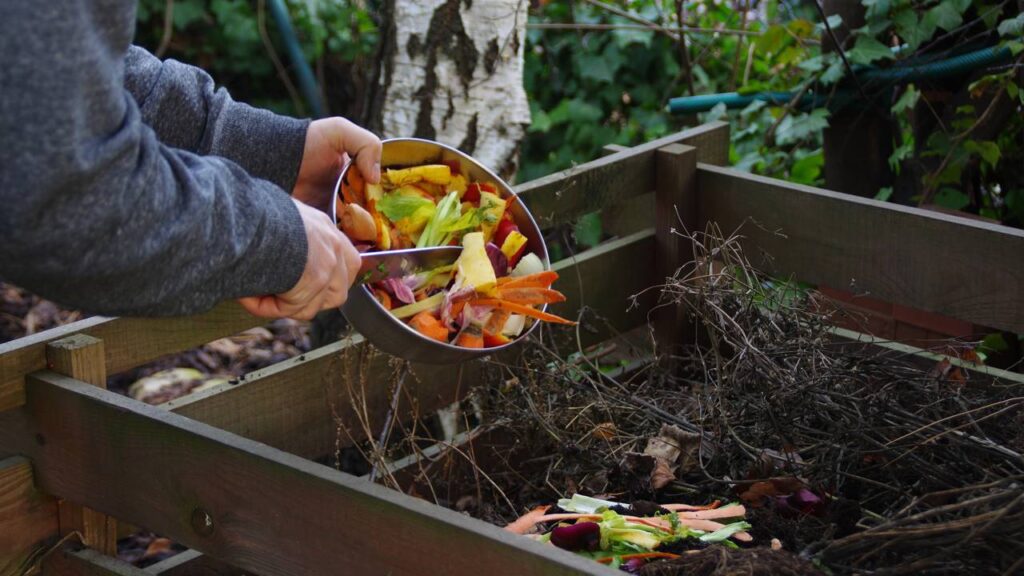 Muita gente joga fora, mas isso vira um adubo incrível