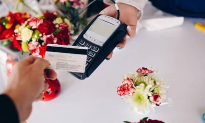 Comprei uma mudinha por R$ 8 e ela virou o destaque do meu quintal