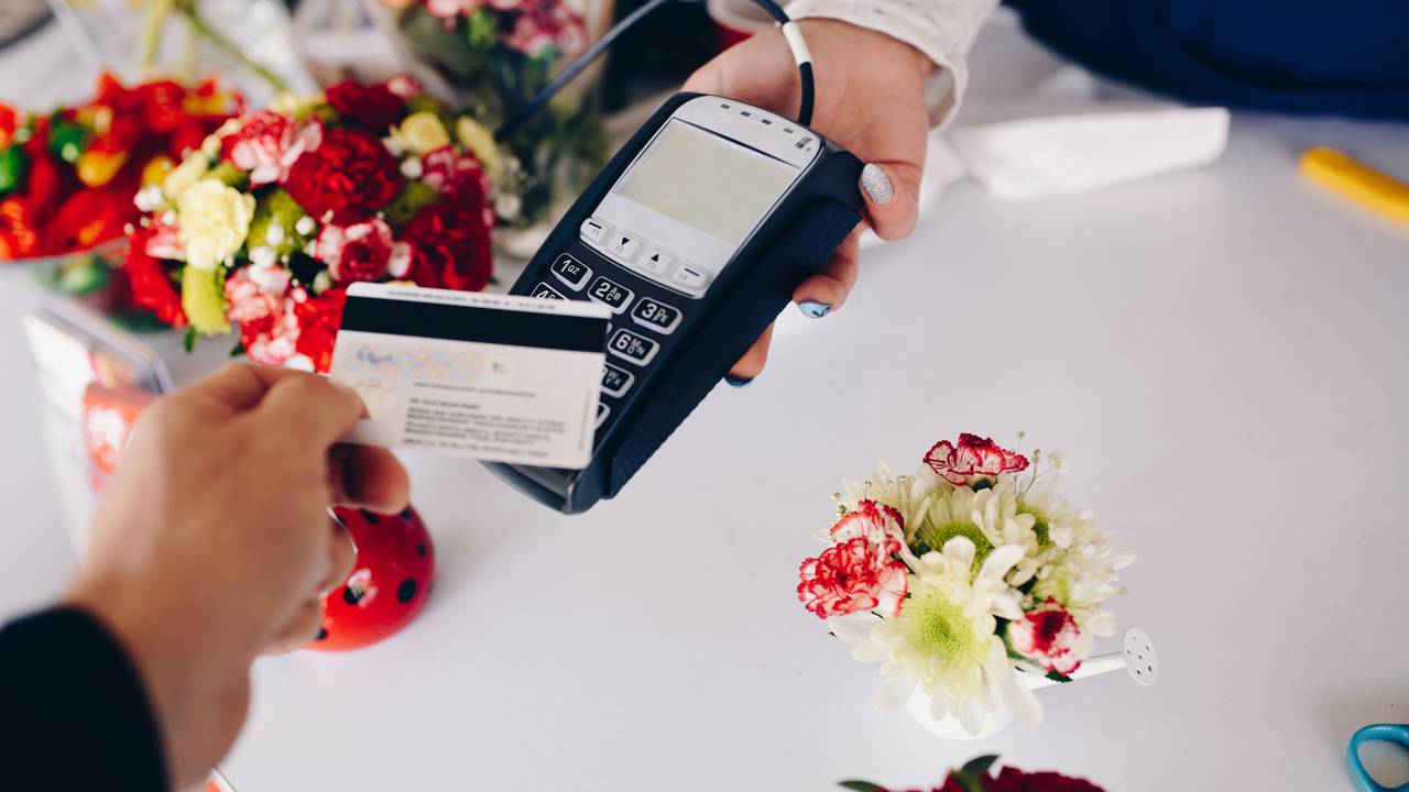 Comprei uma mudinha por R$ 8 e ela virou o destaque do meu quintal