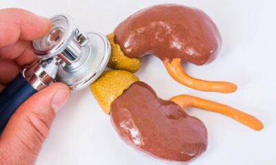 Por que o cortisol virou o novo vilão da saúde moderna e está sabotando seu bem-estar