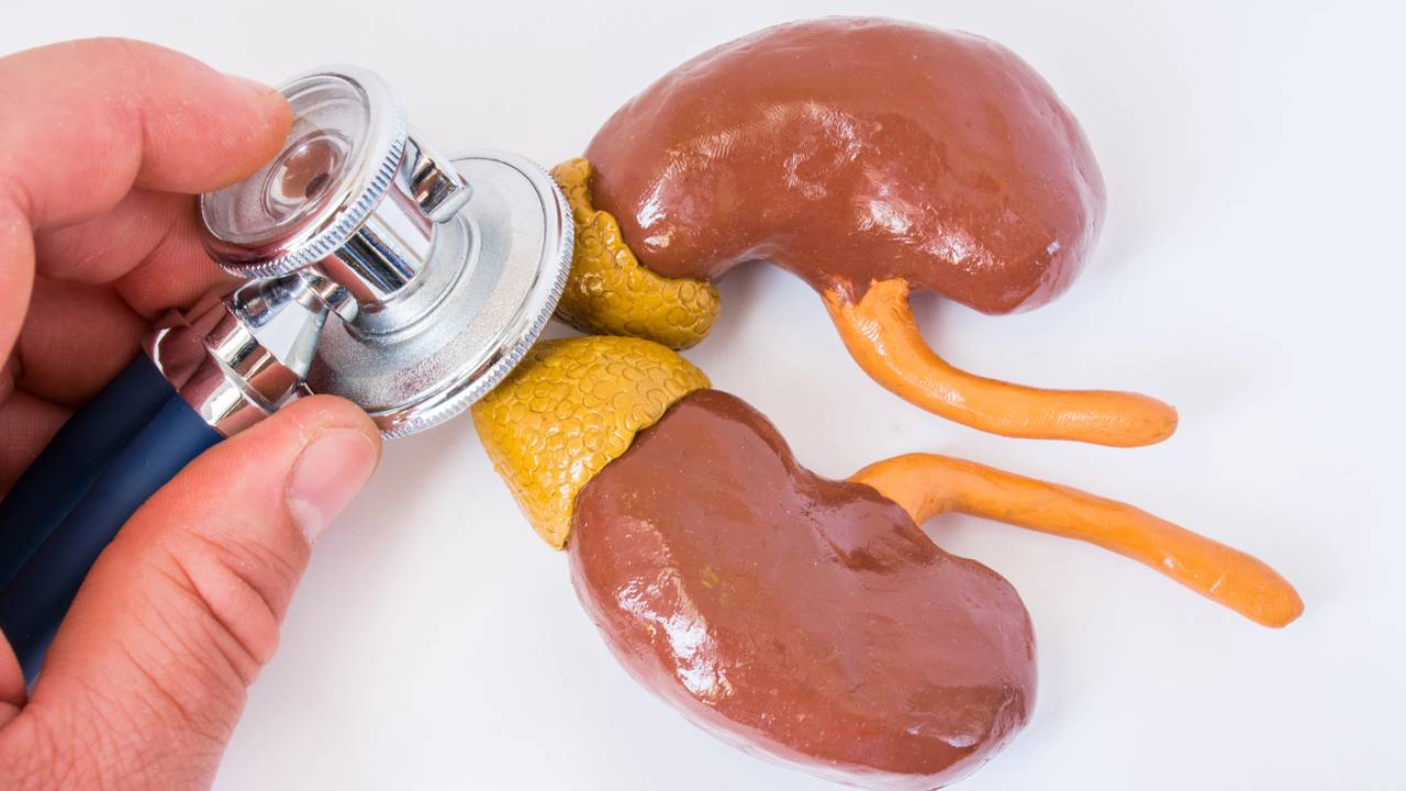 Por que o cortisol virou o novo vilão da saúde moderna e está sabotando seu bem-estar