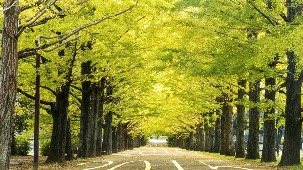 A energia da Lua minguante ajudará esses signos a deixarem o passado para trás