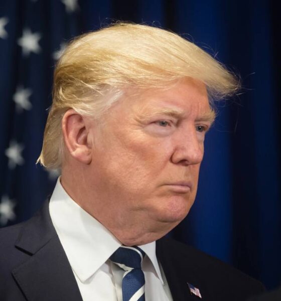 Donald Trump foi o responsável pelo retorno dessa franquia de sucesso