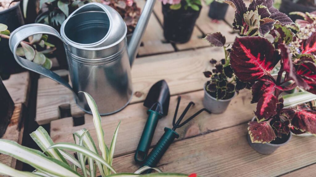 Os equipamentos utilizados são básicos, mas o uso de substratos e adubos é importante - Créditos: depositphotos.com / SashaKhalabuzar