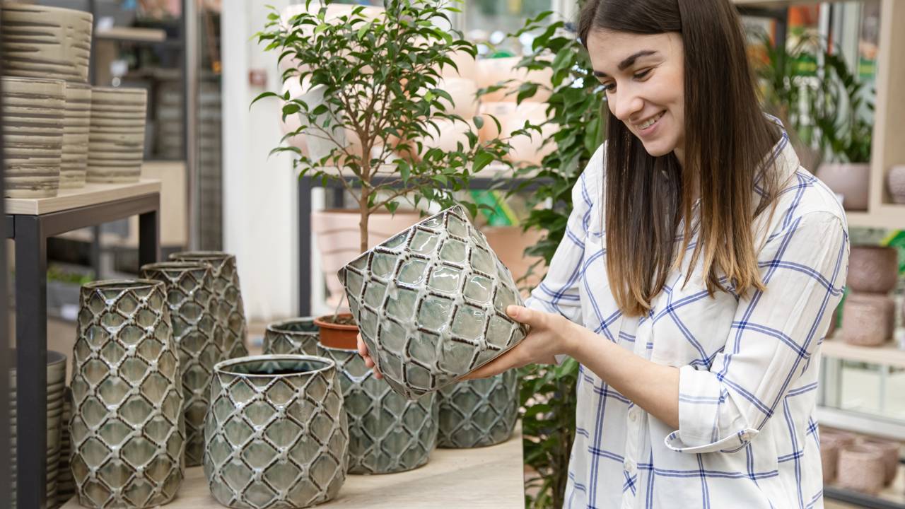 Como montar vasos harmônicos com plantas de tamanhos diferentes