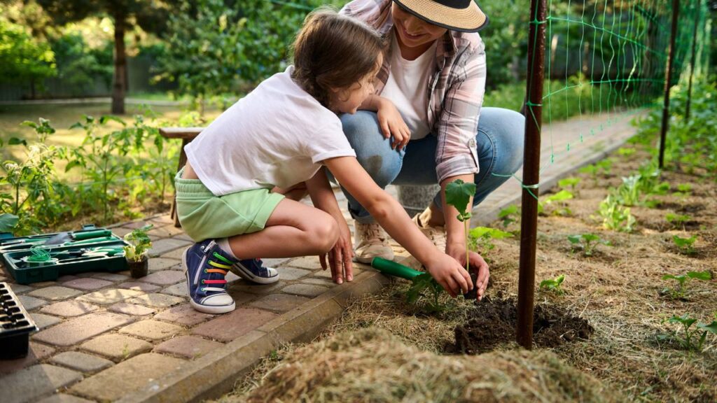 Quanto custa montar uma horta com temperos e legumes