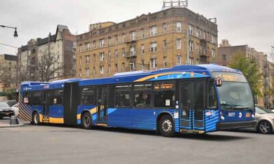 Bronx: atrações e curiosidades do multicultural distrito de Nova York