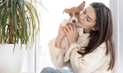 Projeto de lei que define a guarda compartilhada de pets em casos de divórcio é aprovada pelo Senado