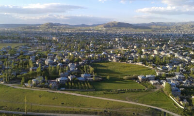 Por que os gatos de Van, na Turquia, têm um olho de cada cor