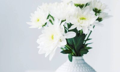 Como usar flores brancas na decoração para atrair boas energias