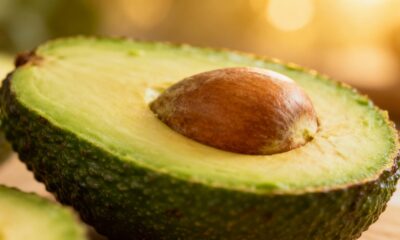 O abacate cresce diferente quando recebe o cuidado certo logo no começo