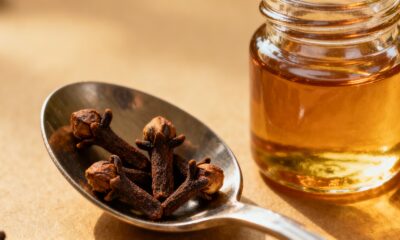 Mastigar cravo-da-índia é o segredo milenar que traz 11 benefícios para sua saúde