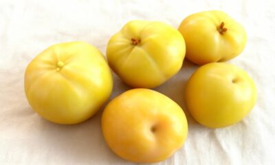 A cagaita cresce rápido e é uma das frutas mais rústicas para cultivar em casa