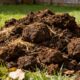 Como preparar adubo com esterco natural sem cheiro forte