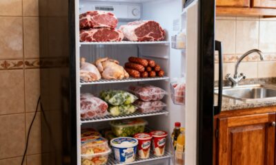 Vale a pena ter um freezer vertical só para carnes e congelados?