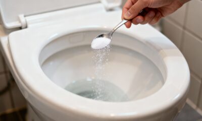 Por que colocar sal no vaso sanitário à noite antes de dormir?