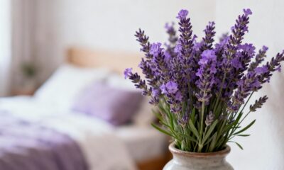 O truque da lavanda que espanta moscas e deixa o quarto com um perfume leve e acolhedor