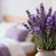 O truque da lavanda que espanta moscas e deixa o quarto com um perfume leve e acolhedor