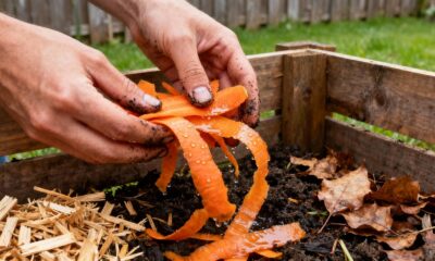 O adubo caseiro com cascas de legumes que substitui o químico e muita gente nem imagina
