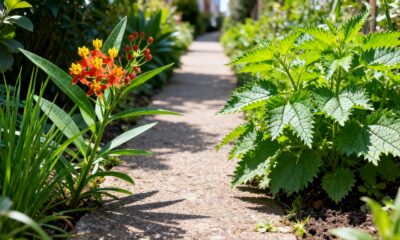 Plantas brasileiras extremamente perigosas e venenosas