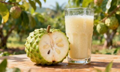 A graviola anã amadurece rápido e rende sucos caseiros cheios de sabor