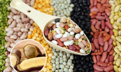 O grão que parece feijão, mas tem gosto de amendoim torrado