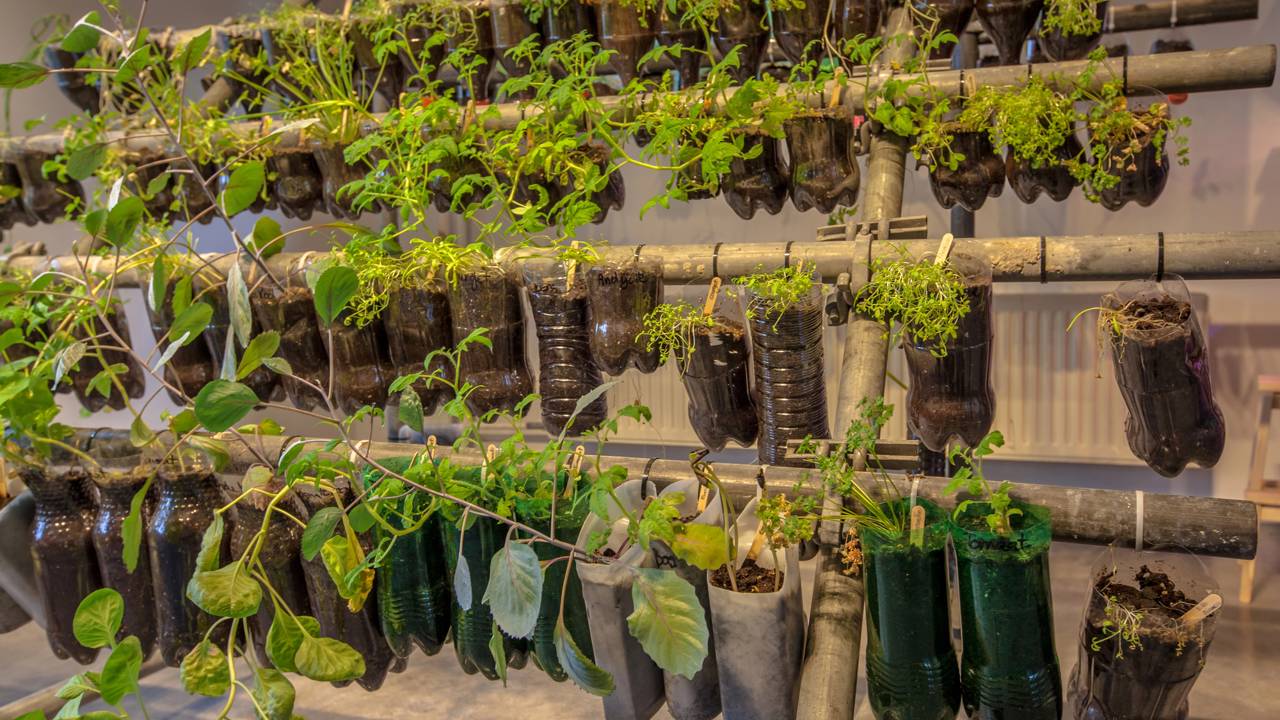 Criei um jardim vertical sustentável com garrafas PET dentro de casa