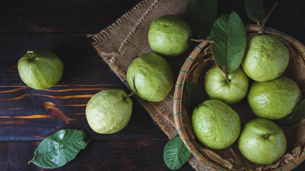 Plante goiabeira em casa. Você terá frutas doces e perfumadas, além de sombra no seu quintal