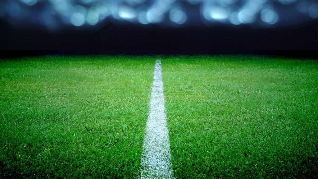 A instalação e manutenção de um gramado conta com valores imensos - Créditos: depositphotos.com / pariwatlp