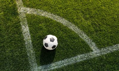 A pintura do gramado é uma das partes mais importantes e gera custos a cada jogo - Créditos: depositphotos.com / ArturVerkhovetskiy