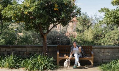 A árvore frutífera que perfuma, embeleza e alimenta ao mesmo tempo