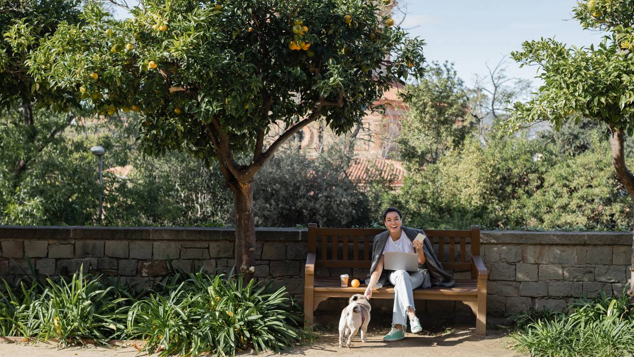 A árvore frutífera que perfuma, embeleza e alimenta ao mesmo tempo