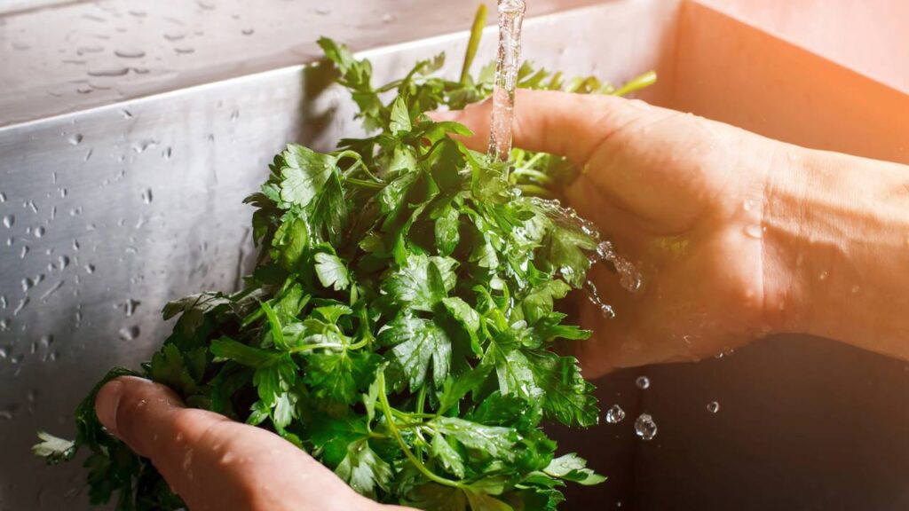O cheiro verde que se mantém fresco por vários dias com um cuidado fácil de fazer em casa