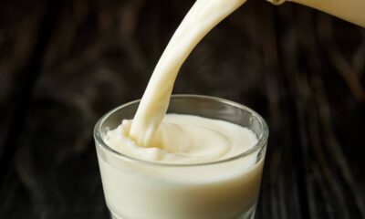O segredo que faz o leite lembrar sabor de coco sem usar essência