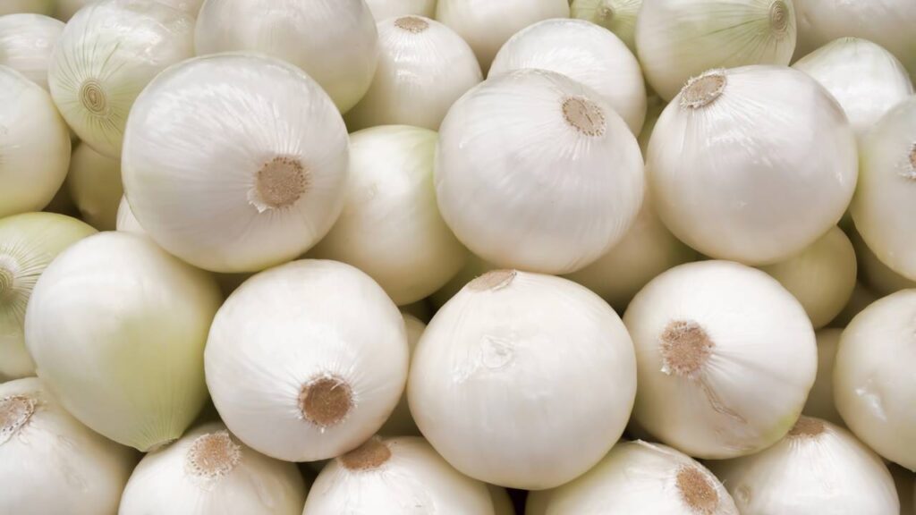 Guardar cebolas corretamente evita brotos e ainda mantém o sabor por mais tempo
