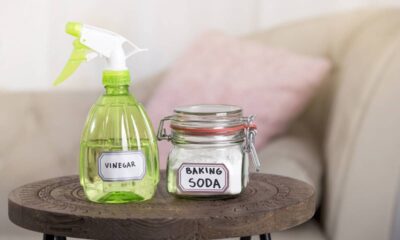 Essa dica com vinagre branco muda o jeito de limpar sofá
