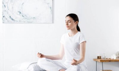 Essa planta tem fama de afastar más energias e purificar o ar