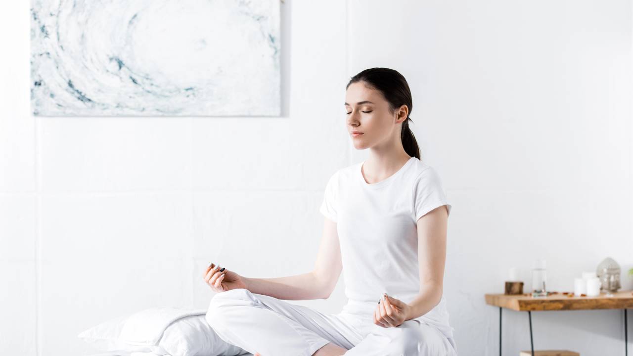 Essa planta tem fama de afastar más energias e purificar o ar