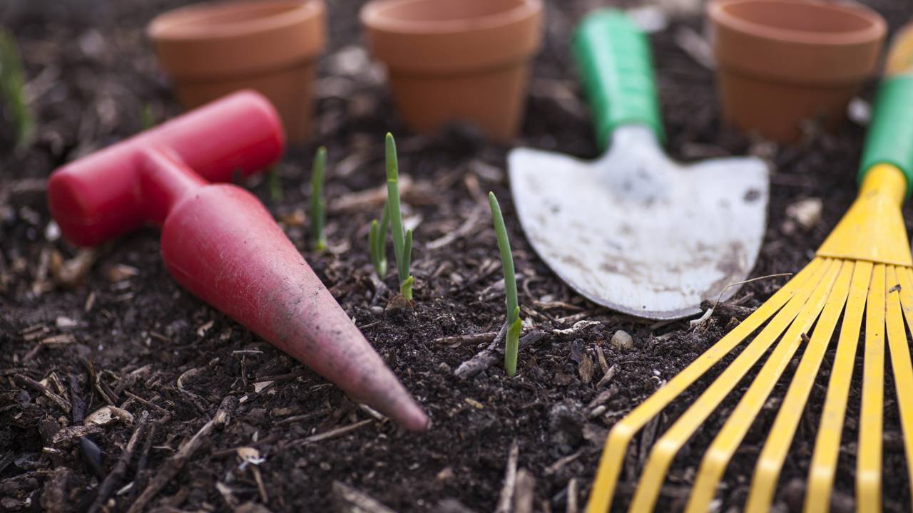 Quanto custa montar uma horta com temperos e legumes