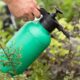 Receita com detergente e vinagre elimina ervas daninhas melhor que qualquer herbicida