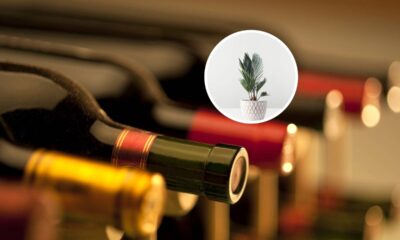 Transformei uma garrafa de vinho em vaso e virou destaque na decoração