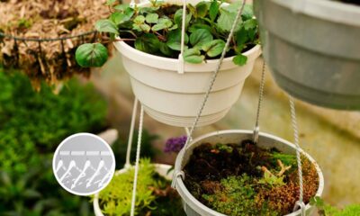 Reaproveitei cabides velhos e criei um suporte incrível para plantas suspensas