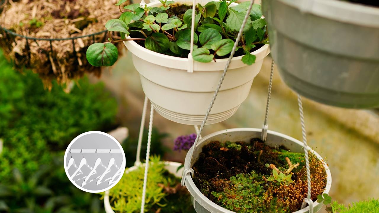 Reaproveitei cabides velhos e criei um suporte incrível para plantas suspensas