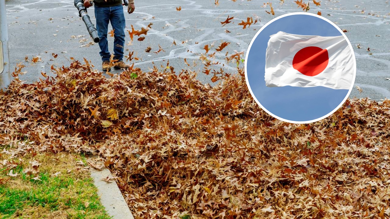 Técnica ancestral japonesa usa folhas secas para transformar seu jardim em ouro