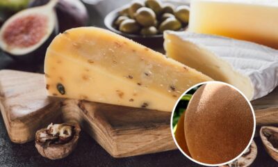 A fruta amazônica que tem sabor de queijo e aroma de nozes