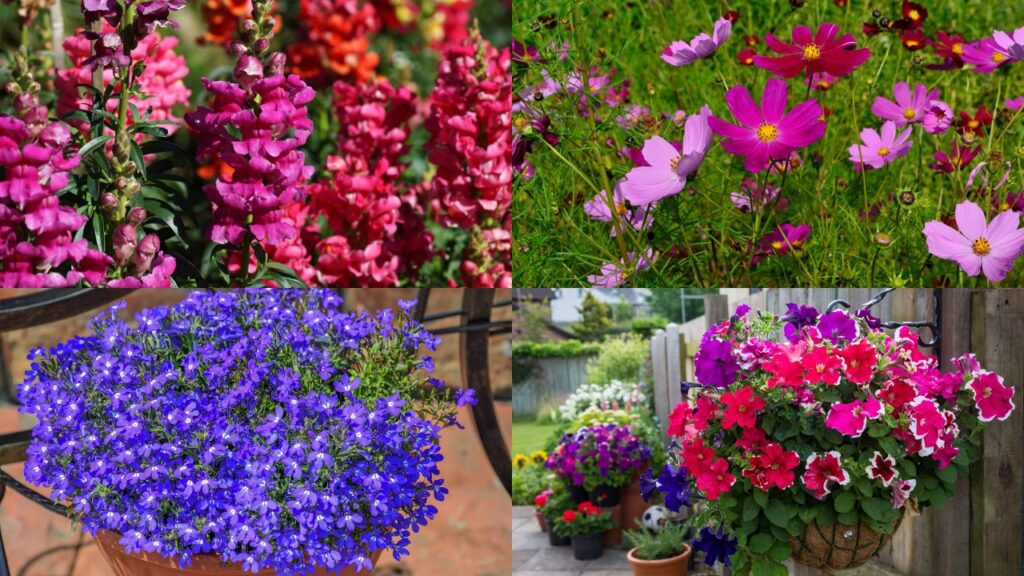 6 flores que transformam o ambiente com cor e leveza